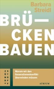 Cover von Brücken bauen