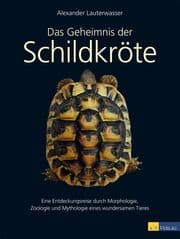 Cover von Das Geheimnis der Schildkröte