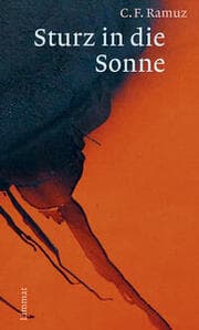 Cover von Sturz in die Sonne