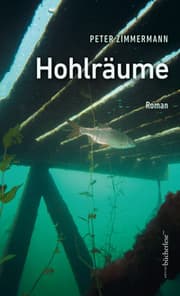 Cover von Hohlräume