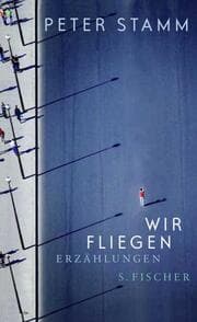 Cover von Wir fliegen