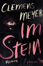 Cover von Im Stein