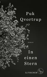 Cover von In einen Stern