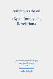 Cover von 'By an Immediate Revelation'