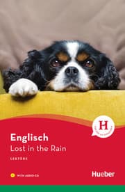 Cover von Lost in the Rain