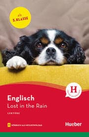 Cover von Lost in the Rain