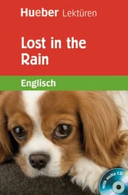 Cover von Lost in the Rain
