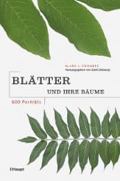 Cover von Blätter und ihre Bäume