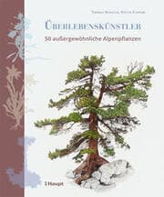 Cover von Überlebenskünstler