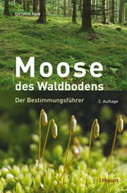 Cover von Moose des Waldbodens