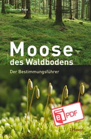 Cover von Moose des Waldbodens