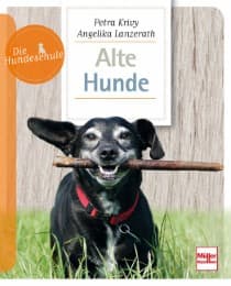 Cover von Alte Hunde