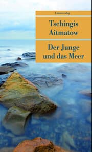Cover von Der Junge und das Meer