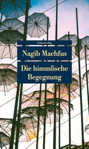 Cover von Die himmlische Begegnung
