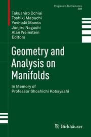 Cover von Geometry and Analysis on Manifolds