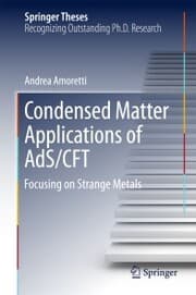 Cover von Condensed Matter Applications of AdS/CFT