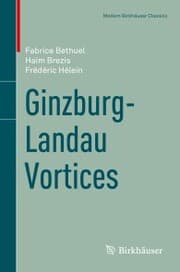 Cover von Ginzburg-Landau Vortices
