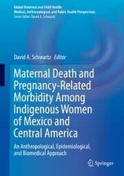 Cover von Maternal Death and Pregnancy-Related Morbidity Among Indigenous Women of Mexico and Central America