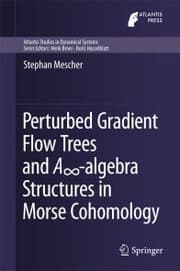 Cover von Perturbed Gradient Flow Trees and A¿-algebra Structures in Morse Cohomology