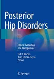 Cover von Posterior Hip Disorders
