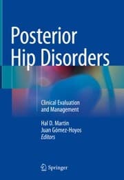 Cover von Posterior Hip Disorders