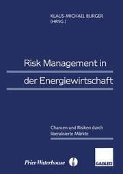 Cover von Risk Management in der Energiewirtschaft