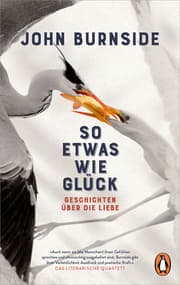 Cover von So etwas wie Glück