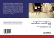 Cover von Geognostic investigation, deterioration evolution, GPR scan