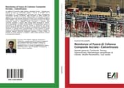 Cover von Resistenza al Fuoco di Colonne Composte Acciaio - Calcestruzzo