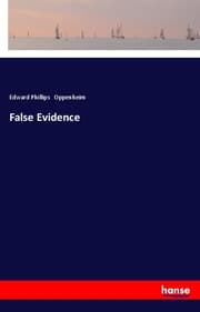 Cover von False Evidence