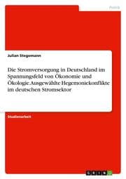 Cover von Die Stromversorgung in Deutschland im Spannungsfeld von Ökonomie und Ökologie. Ausgewählte Hegemoniekonflikte im deutschen Stromsektor