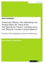 Cover von Formen des Offenen. 'Der Zauberberg' von Thomas Mann, die 'Oxen of the Sun'-Episode im 'Ulysses' von James Joyce und 'Rayuela' von Julio Cortázar (Band 3)