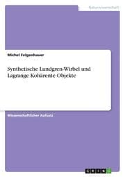 Cover von Synthetische Lundgren-Wirbel und Lagrange Kohärente Objekte
