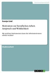 Cover von Motivation zur beruflichen Arbeit. Anspruch und Wirklichkeit