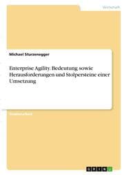 Cover von Enterprise Agility. Bedeutung sowie Herausforderungen und Stolpersteine einer Umsetzung