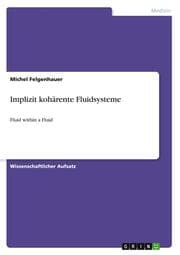 Cover von Implizit kohärente Fluidsysteme