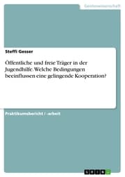 Cover von Öffentliche und freie Träger in der Jugendhilfe. Welche Bedingungen beeinflussen eine gelingende Kooperation?