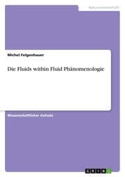 Cover von Die Fluids within Fluid Phänomenologie
