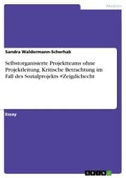 Cover von Selbstorganisierte Projektteams ohne Projektleitung. Kritische Betrachtung im Fall des Sozialprojekts Zeigdichecht