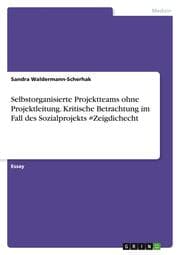 Cover von Selbstorganisierte Projektteams ohne Projektleitung. Kritische Betrachtung im Fall des Sozialprojekts Zeigdichecht