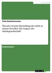 Cover von Theodor Storms Darstellung des Adels in seinen Novellen. Ein Gegner der Ständegesellschaft?