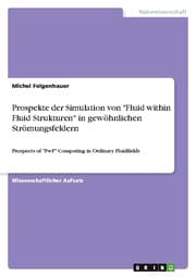 Cover von Prospekte der Simulation von 'Fluid within Fluid Strukturen' in gewöhnlichen Strömungsfeldern