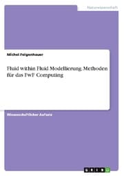 Cover von Fluid within Fluid Modellierung. Methoden für das FwF Computing