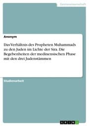 Cover von Das Verhältnis des Propheten Muhammads zu den Juden im Lichte der Sira. Die Begebenheiten der medinensischen Phase mit den drei Judenstämmen