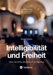 Cover von Intelligibilität und Freiheit