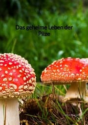 Cover von Das geheime Leben der Pilze