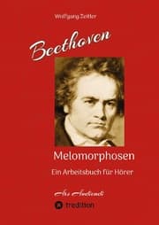 Cover von Beethoven - Melomorphosen: Früchte der Musikmeditation. Sichtbar gemachte Informationsmatrix ausgewählter Musikstücke. Gestaltwerkzeuge für Musikhörer. Ohne Verwendung von Noten/Partituren.