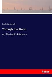 Cover von Through the Storm