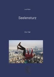 Cover von Seelensturz