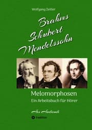 Cover von Brahms, Schubert, Mendelssohn: Melomorphosen - Früchte der Musikmeditation, sichtbar gemachte Informationsmatrix ausgewählter Musikstücke, Gestaltwerkzeuge für Musikhörer; ohne Verwendung von Noten